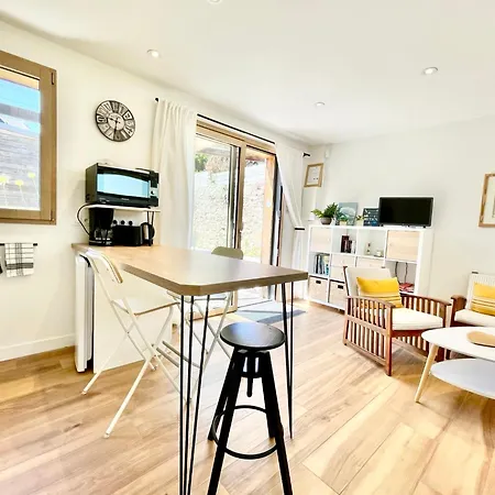 300 M Et Centre - Parking Privatif Et Gratuit Sur Place - Terrasse Bois Appartement
